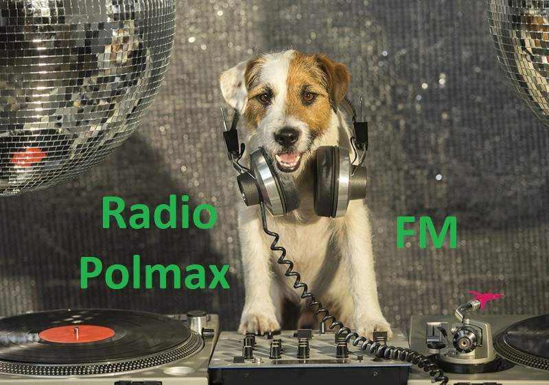 Radio Polmax FM logo
